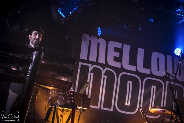 mellow mood, la cave à  musique, mâcon