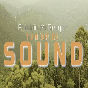 Freddie Mc Gregor - Turn Up Di Sound