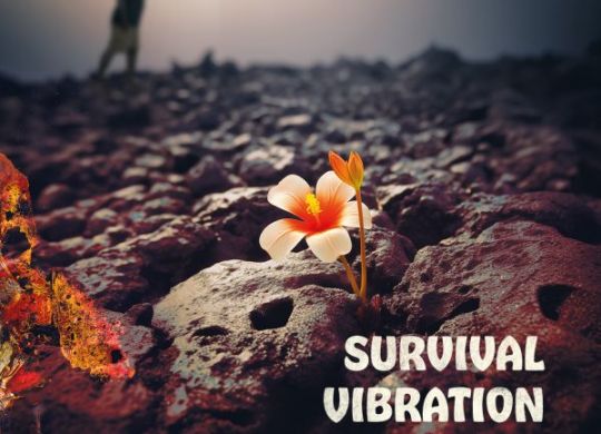 Clinton Fearon – Survival Vibration (2024)